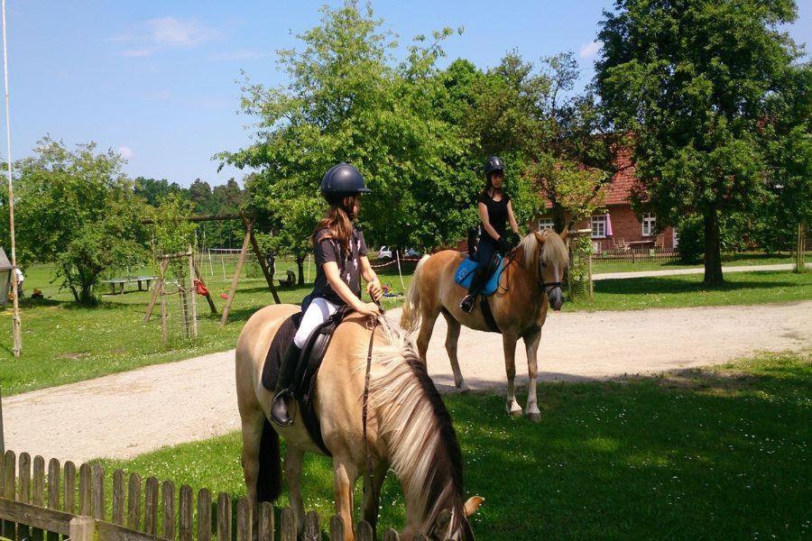 Appartamento Schroederhof Unterluss Esterno foto