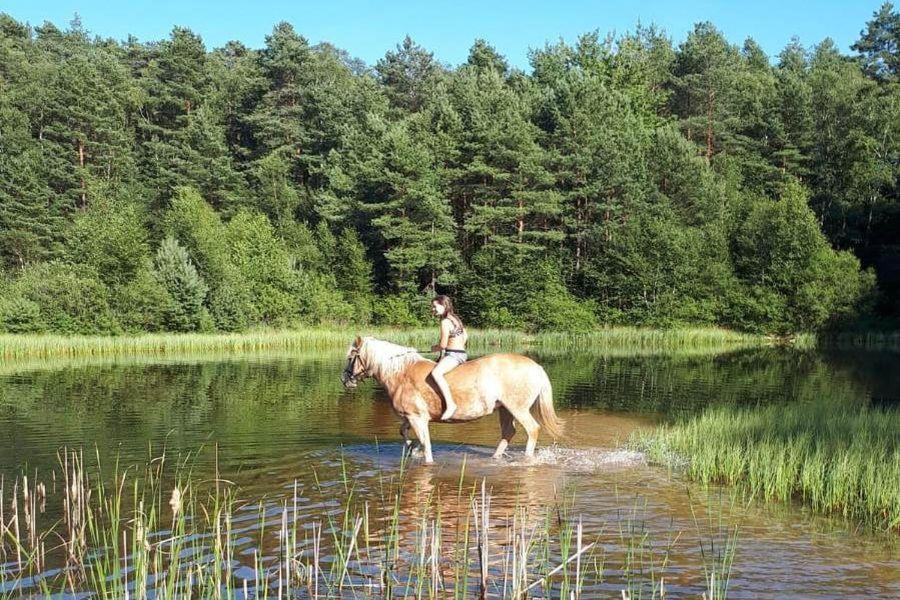 Appartamento Schroederhof Unterluss Esterno foto