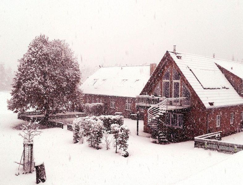 Appartamento Schroederhof Unterluss Esterno foto